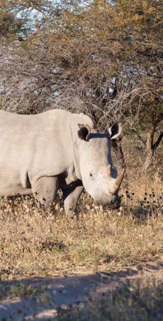 slideshow_itineraire_namibie_botswana_1
