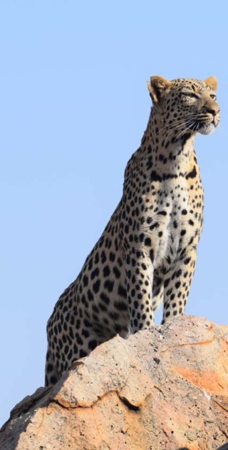 slideshow_itineraire_namibie_botswana_2