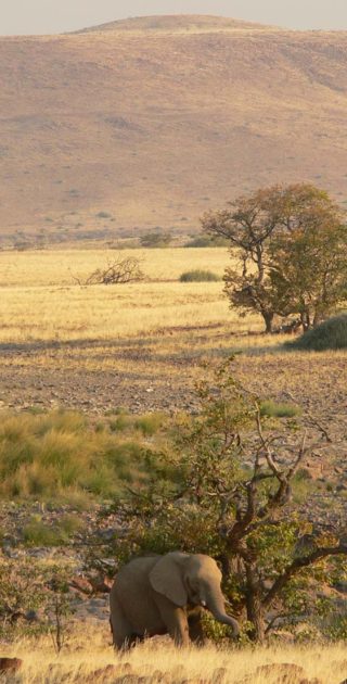 slideshow_itineraire_namibie_botswana_3