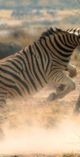 slideshow_itineraire_namibie_botswana_4