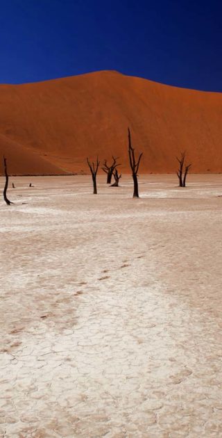 slideshow_itineraire_namibie_botswana_5