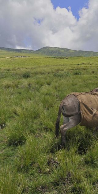 slideshow_itineraire_tanzanie_10nuits_2