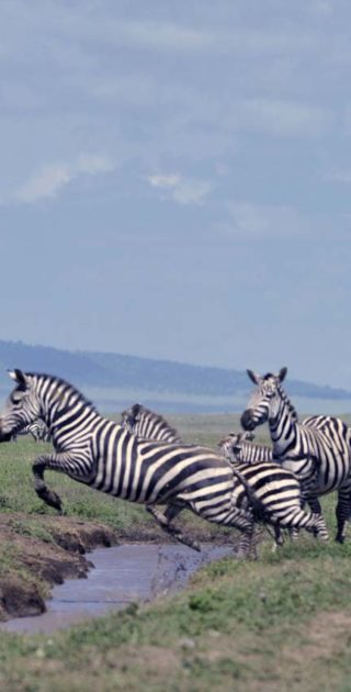 slideshow_itineraire_tanzanie_10nuits_5