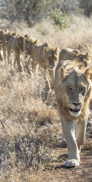 slideshow_itineraire_tanzanie_11nuit_stone_town_7