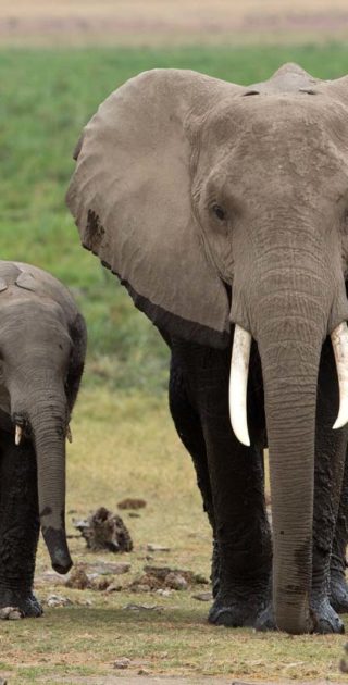 slideshow_itineraire_tanzanie_11nuits_stone_town_1