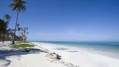 Assurance obligatoire pour les séjours à Zanzibar (19/08/2024)