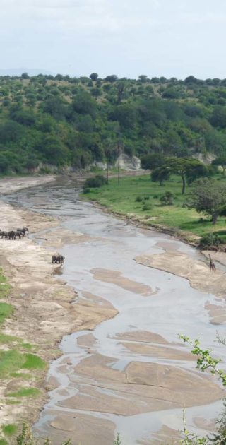 slideshow_itineraire_tanzanie_11nuits_stone_town_3