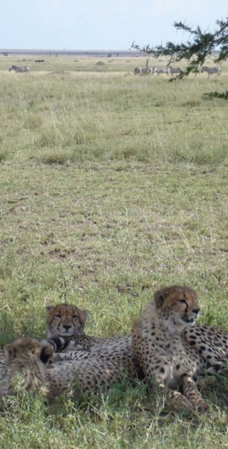 slideshow_itineraire_tanzanie_11nuits_zanzibar_1