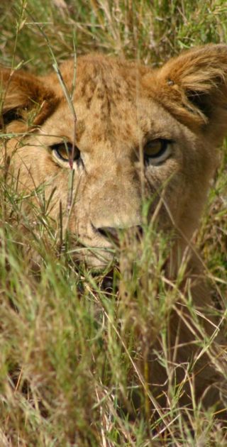 slideshow_itineraire_tanzanie_11nuits_zanzibar_3