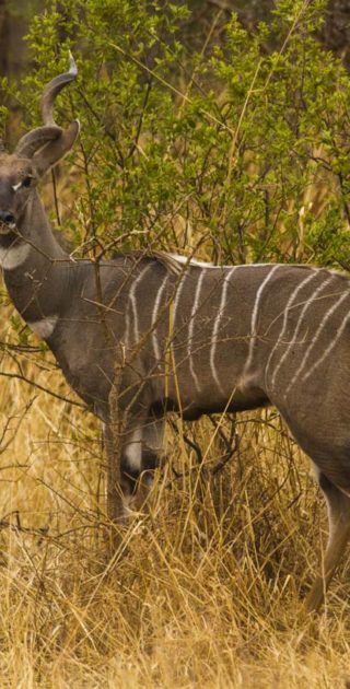 slideshow_itineraire_tanzanie_7nuits_1