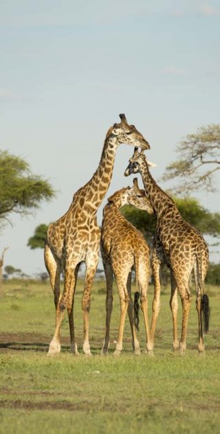 slideshow_itineraire_tanzanie_7nuits_4