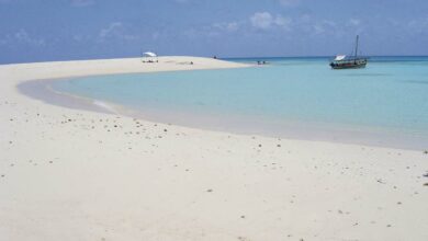 Zanzibar White Sand Luxury Villas : 7 nouvelles chambres (16/01/2025)