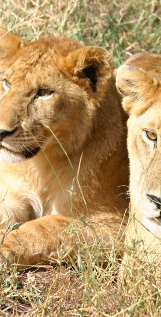 slideshow_itineraire_tanzanie_9nuits_mafia_4