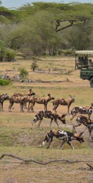 slideshow_itineraire_tanzanie_9nuits_ruaha_selous_8