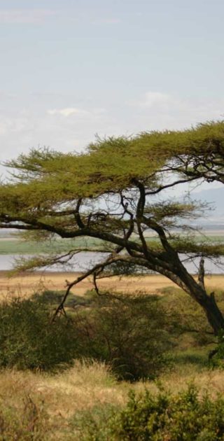 slideshow_manyara_25-11