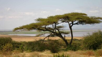 Témoignage d’une cliente (14/08/2021)