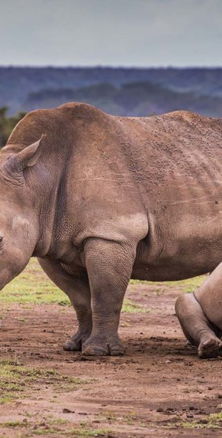 slideshow_parc_aberdale_10