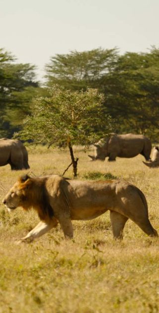 slideshow_parc_aberdale_6