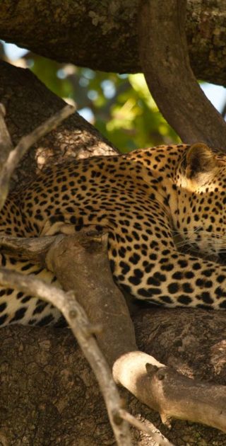 slideshow_parc_aberdale_8