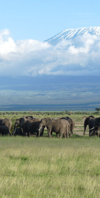 slideshow_parc_amboseli_9