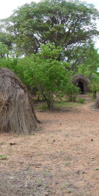 slideshow_parc_bushmanland_6