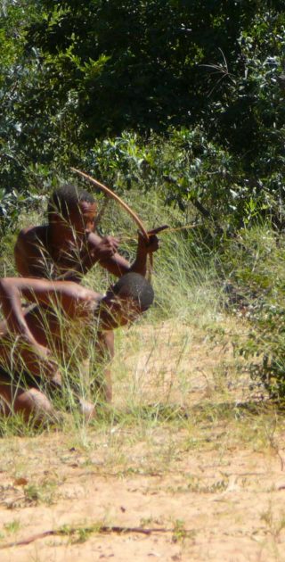 slideshow_parc_bushmanland_7