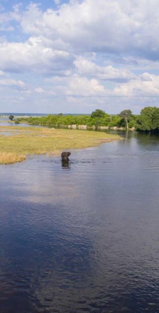 slideshow_parc_chobe_6