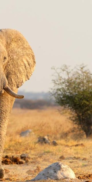 slideshow_parc_damaraland_6