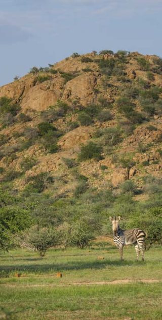 slideshow_parc_damaraland_7