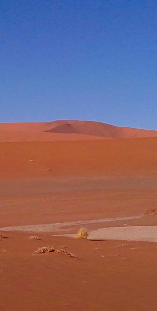 slideshow_parc_desert_namib_9