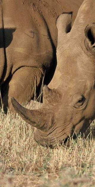 slideshow_parc_kalahari_4