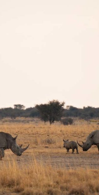 slideshow_parc_kalahari_5