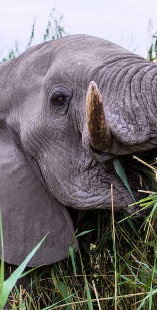 slideshow_parc_kavango_2