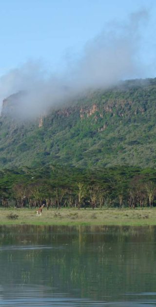 slideshow_parc_lac_nakuru_11