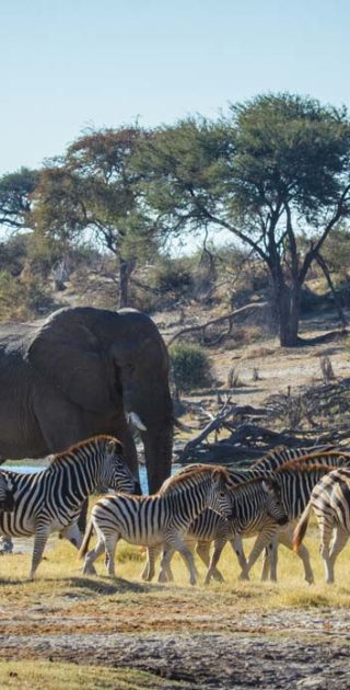 slideshow_parc_les_pans_10