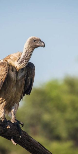 slideshow_parc_les_pans_8