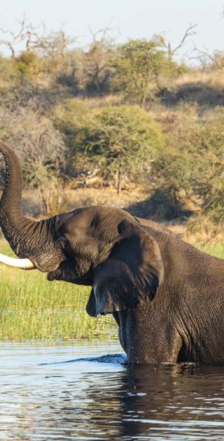 slideshow_parc_les_pans_9