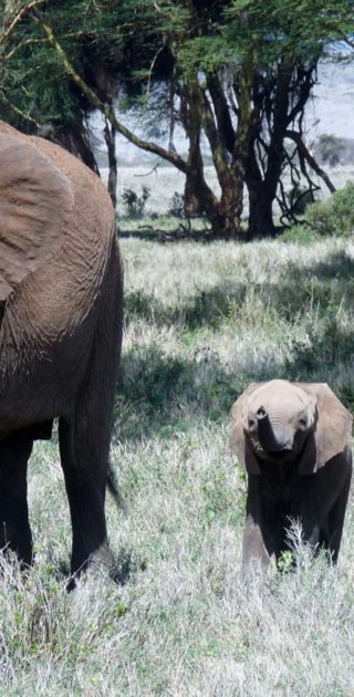 slideshow_parc_lewa_downs_10