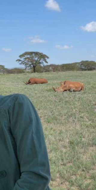 slideshow_parc_lewa_downs_5