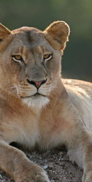 slideshow_parc_lewa_downs_6