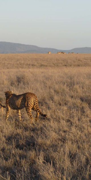 slideshow_parc_lewa_downs_8