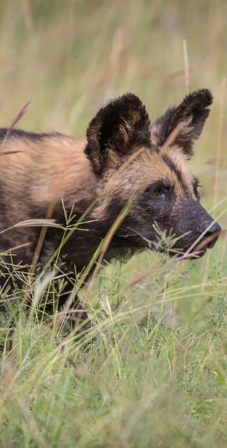 slideshow_parc_loisaba_7