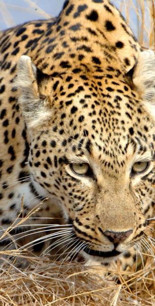 slideshow_parc_loisaba_8