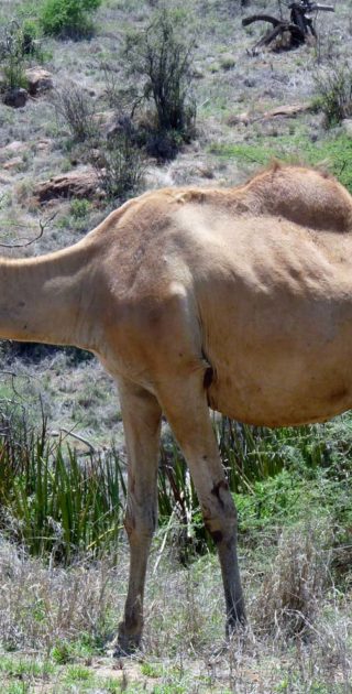 slideshow_parc_loisaba_9