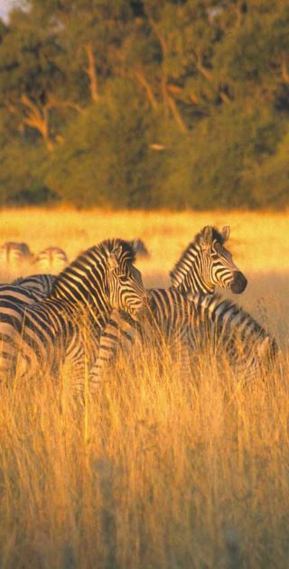 slideshow_parc_manyara_3