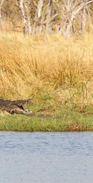 slideshow_parc_manyara_7