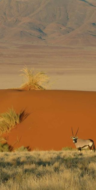 slideshow_parc_namib_naukluft_10