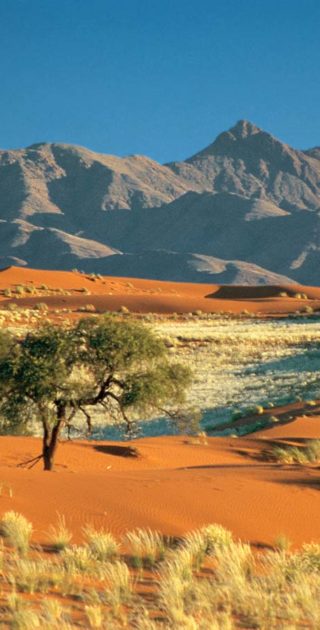 slideshow_parc_namib_naukluft_9