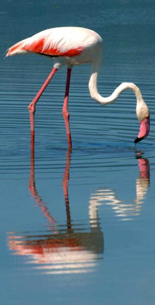 slideshow_parc_natron_2