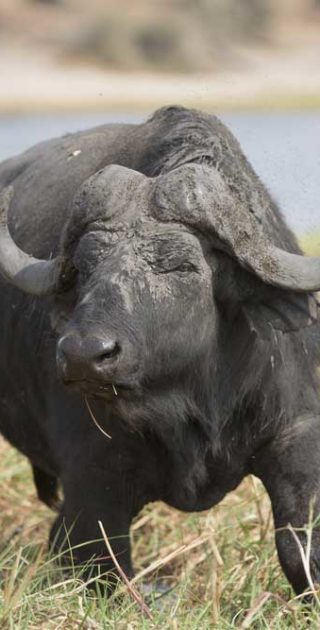 slideshow_parc_ngorongoro_1